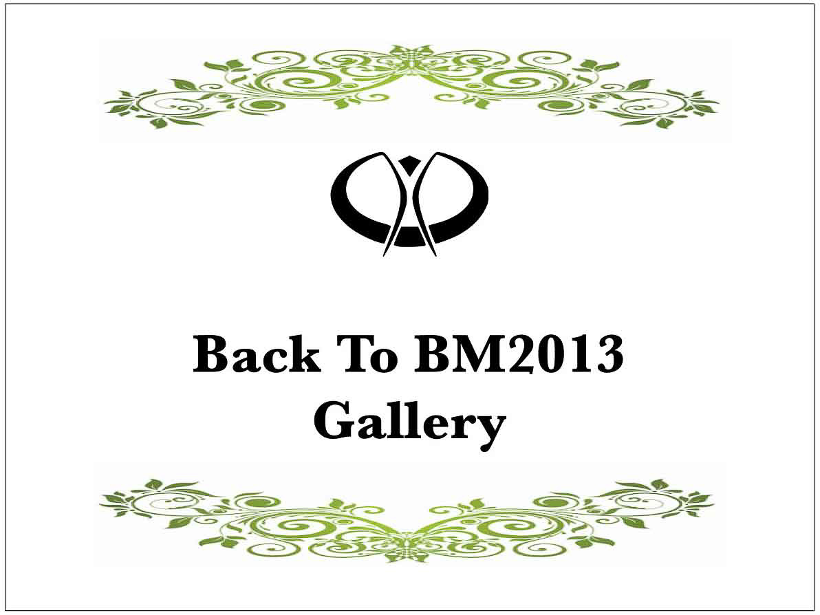 Back to Top Level BM2013 Gallery