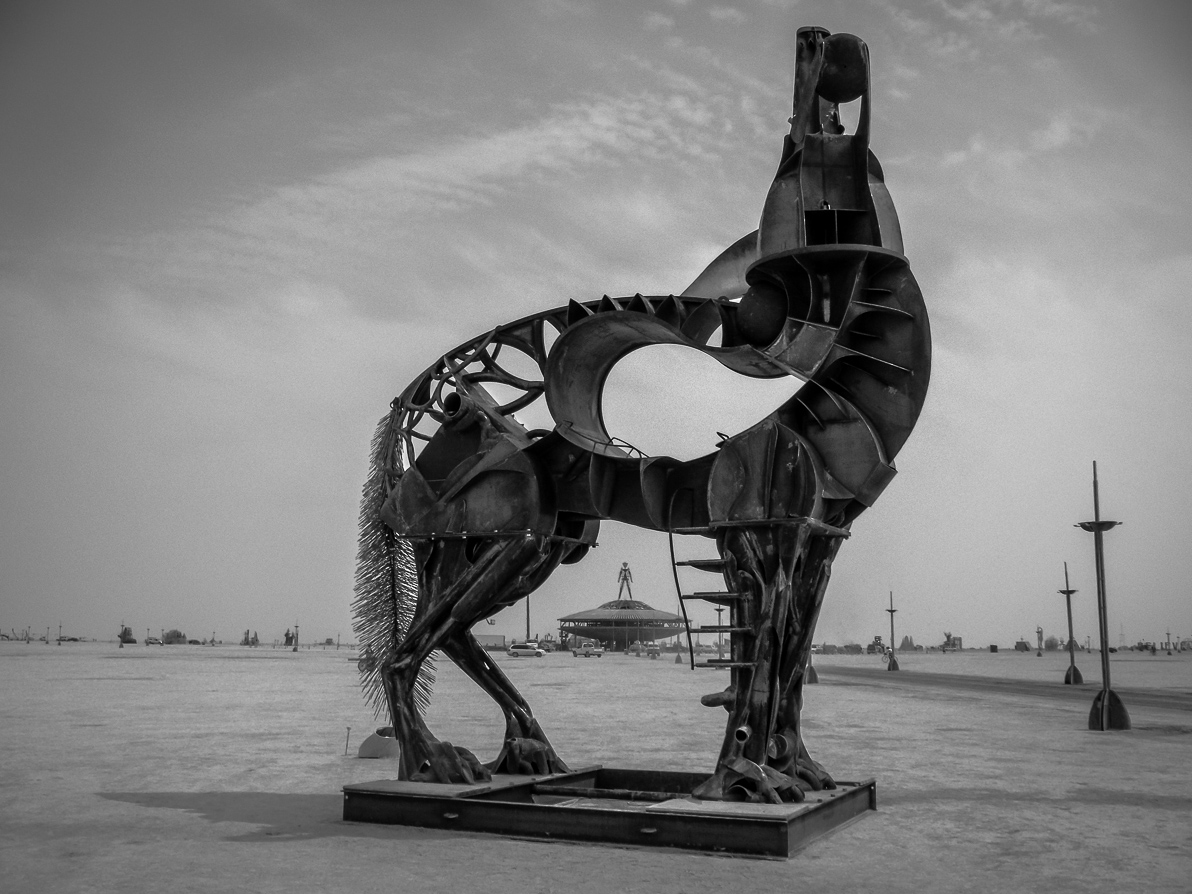 Black Rock City, Bryan Tedrick, Burning Man 2013, Cargo Cult, Coyote