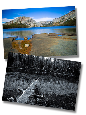The Eastern Sierra area